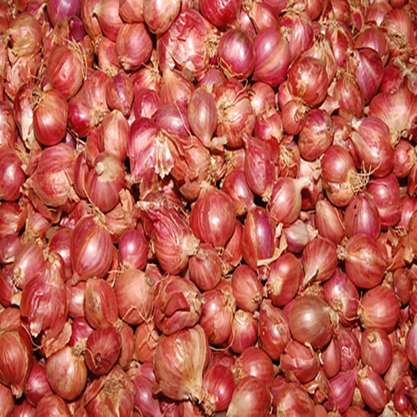 Small-Onion-(Sri-Lanka)-250g xlmarche France