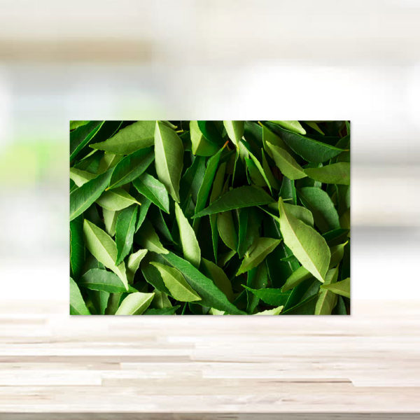 CURRY LEAVES EPICES xlmarche France