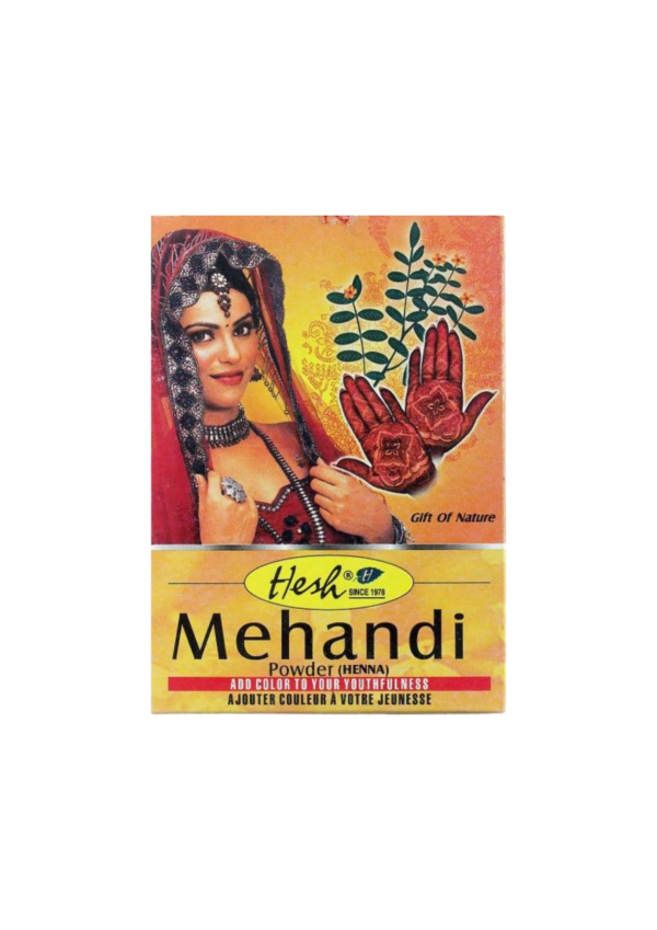 HESH MEHANDI 100G